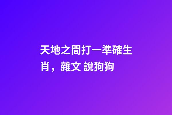 天地之間打一準確生肖，雜文 說狗狗